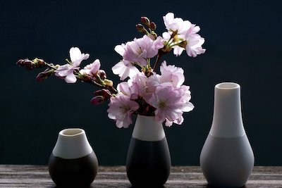 花瓶に挿した桜の花