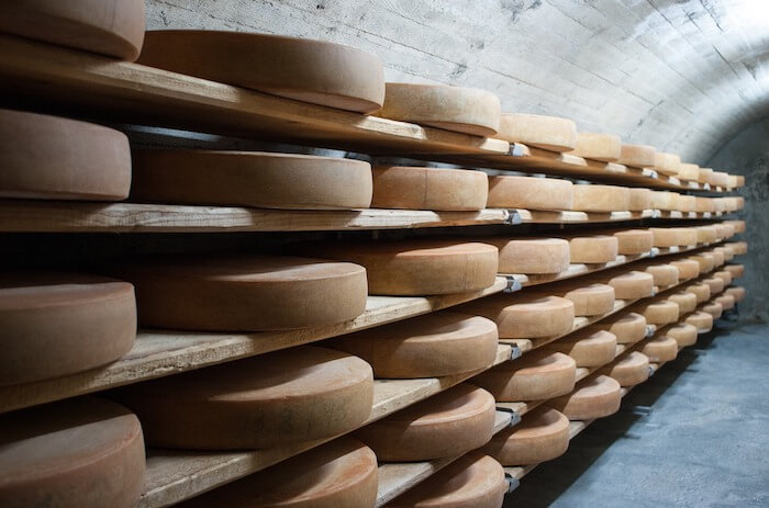 蔵で熟成中のチーズ
