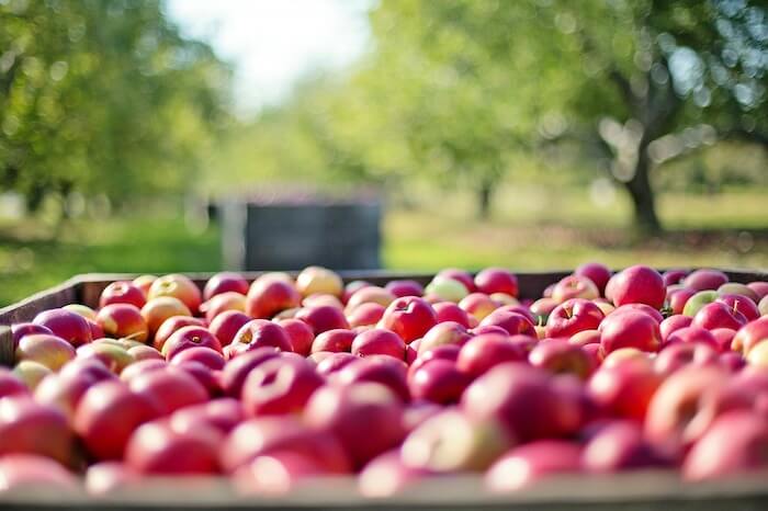 木箱にはいった収穫されたリンゴ