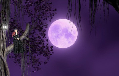 月の妖精のイメージ