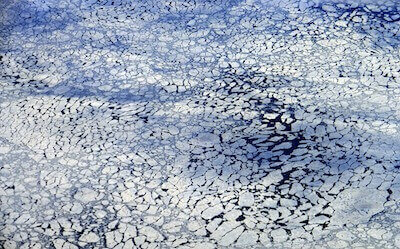 流氷に覆われた海
