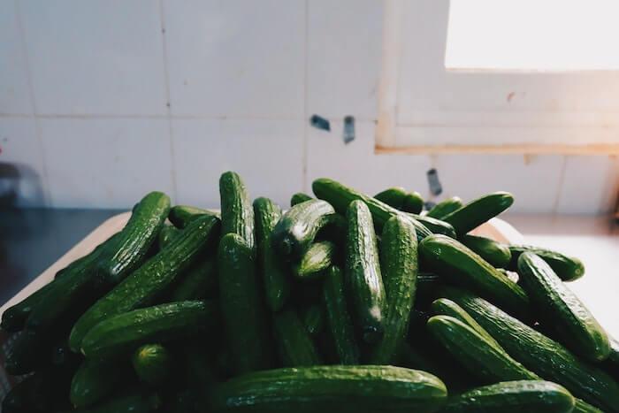 野菜の きゅうり を表すフランス語の単語や表現の読み方と発音 意味とは