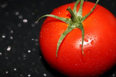 完熟のトマト