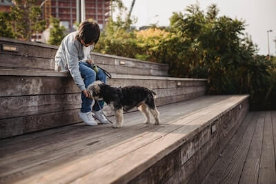 かわいい を表すフランス語の単語や表現の読み方と発音 翻訳とは