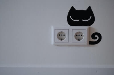 猫の電気プラグ