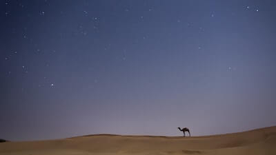 砂漠の星空